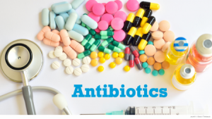 ICM, Antibiotics