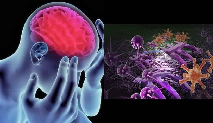 Acute Encephalitis Syndrome