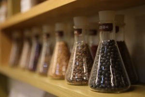 Traditional Chinese Medicines