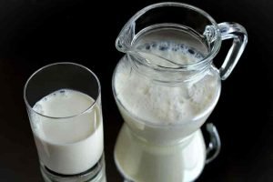 worldmilkday