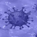 covid19