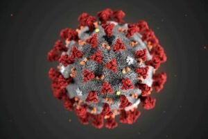 India's First Case of COVID-19 Variant XE Detected in Mumbai Amid Controversy