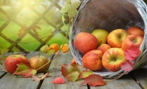 There is a famous saying 'an apple a day keeps the doctor away' and this is true because the fruit is rich in fiber and many vitamins and minerals.