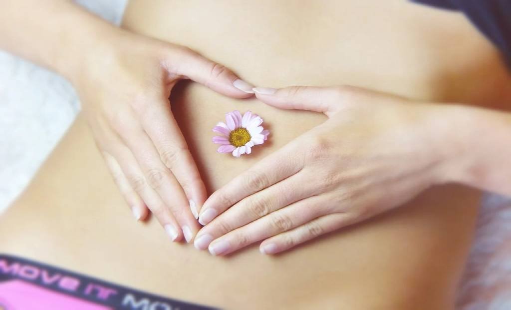 The uterus is a very important part of our body as it separates the bladder from the rectum.