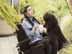 Zain would require a wheelchair and be reliant on others for everything.