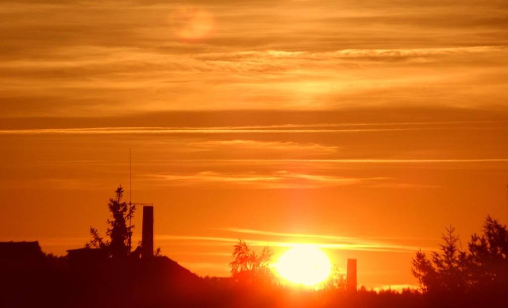 Summer Health Challenges and How to Stay Safe: Tips from Health Expert