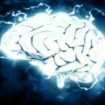 But the new drug called abemaciclib is a cell cycle inhibitor, meaning it blocks the cell division cycle and inhibits tumour growth.