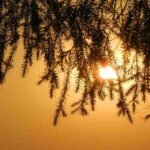 Centre Urges Enhanced Health Facility Preparedness Amidst Rising Heatwave