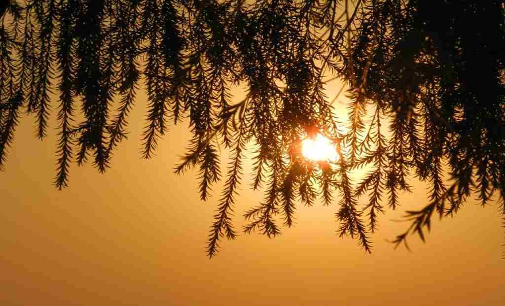 Centre Urges Enhanced Health Facility Preparedness Amidst Rising Heatwave