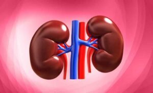 Kidney Disease