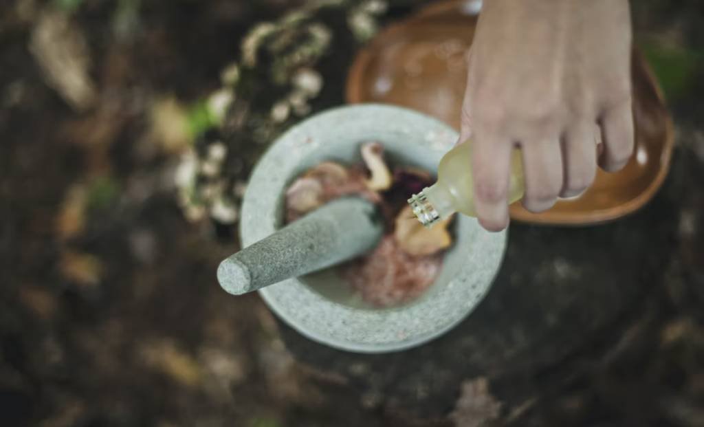 Ayurvedic Poly-Herbal Drug Shows Potential in Treating Ascites and Kidney Disease, Study Reveals