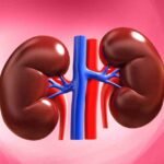 Renowned Nephrologist Shares Tips for Maintaining Healthy Kidneys through Diet and Lifestyle Choices