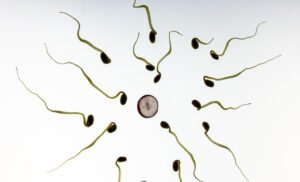 An individual's fertility may suffer from hypothyroidism, making it more challenging to conceive and carry a pregnancy to term.