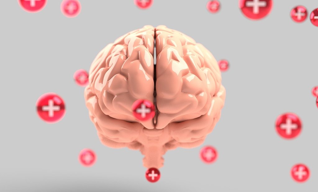 brain health