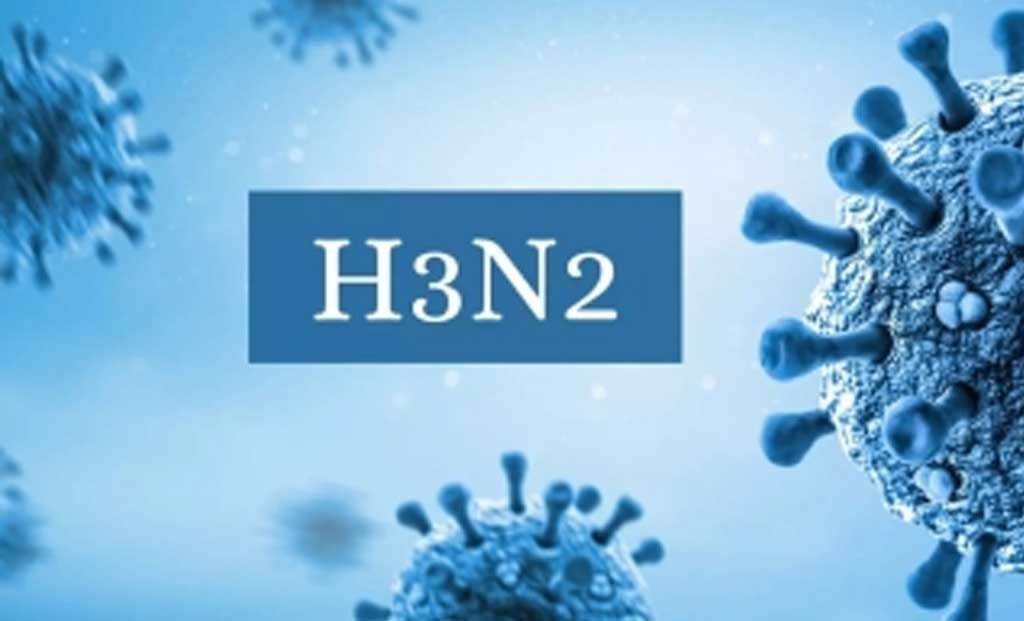 h3n2 influenza