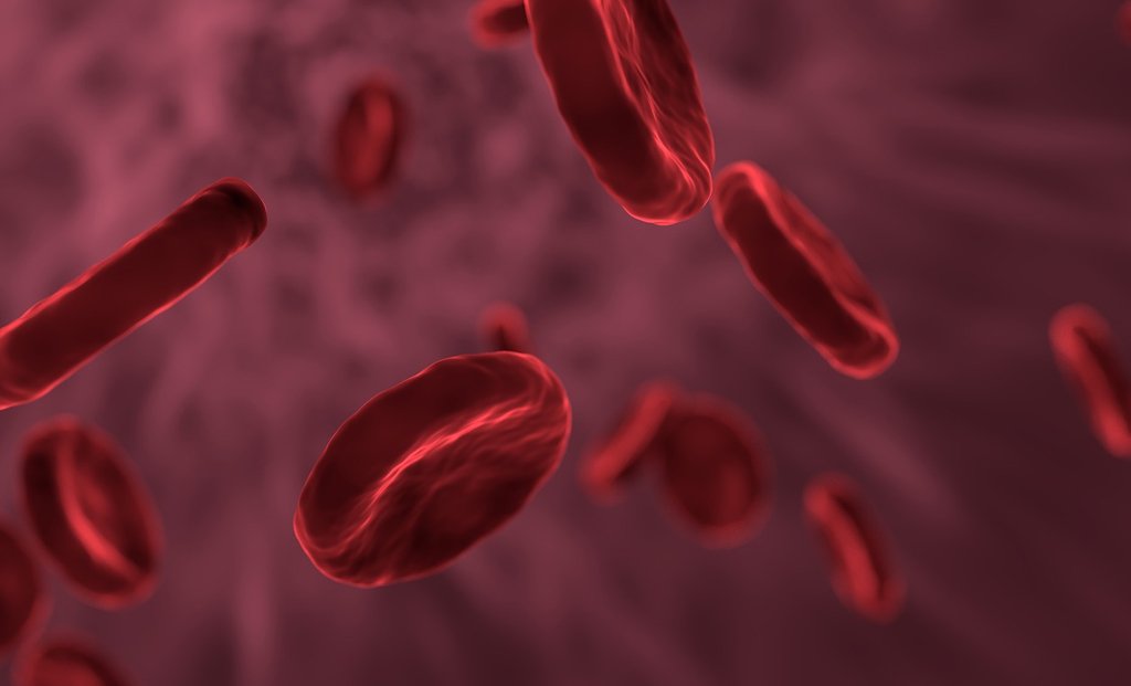 In CLL we may adopt an approach of wait and watch in indolent phase of disease