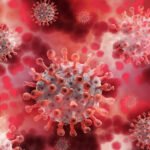 According to reports, two women under the age of 30 succumbed to a new unknown disease caused by Oropouche virus in Brazil. What is this virus?