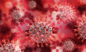 According to reports, two women under the age of 30 succumbed to a new unknown disease caused by Oropouche virus in Brazil. What is this virus?