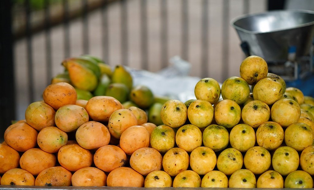 Mangoes are a delicious and nutritious fruit