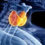 Thyroid Health: 7 Essential Foods To Include In Your Diet