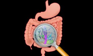 Conditions like acne, eczema, and psoriasis are closely linked to the gut through the gut-skin axis.