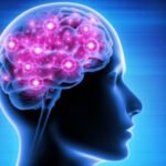 The research process involved the creation of miniature 3D brain-like organoids derived from the skin cells of individuals with autism spectrum disorder.