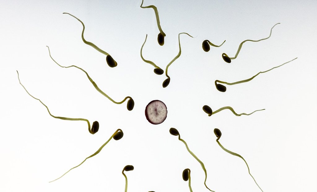 Struggling with infertility can be devastating to one sense of self-worth.