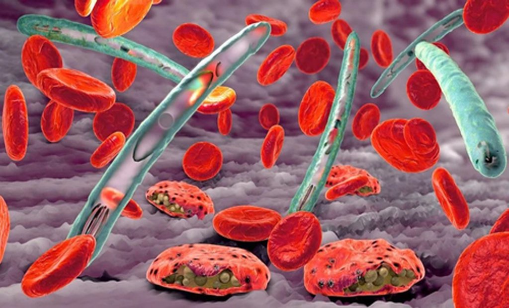 In a genuine clinical environment, the researchers gauged the AI and automated microscope system's precision under optimal circumstances.