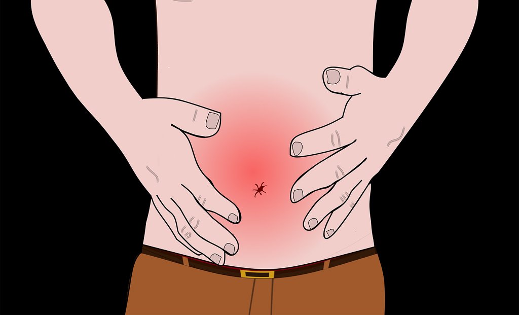 When it comes to fluids, water should be your primary choice to relieve constipation.