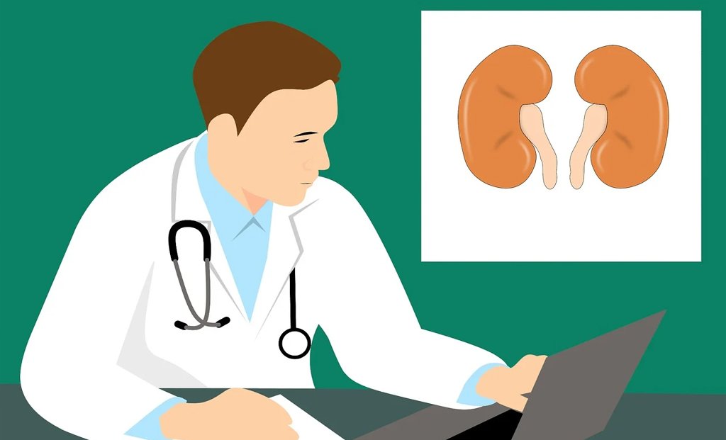 Diet is one of the significant aspects of the management and prevention of kidney disease.