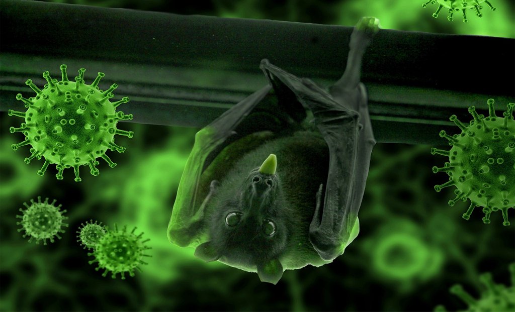 The virus can spread through respiratory droplets when an infected person coughs or sneezes.