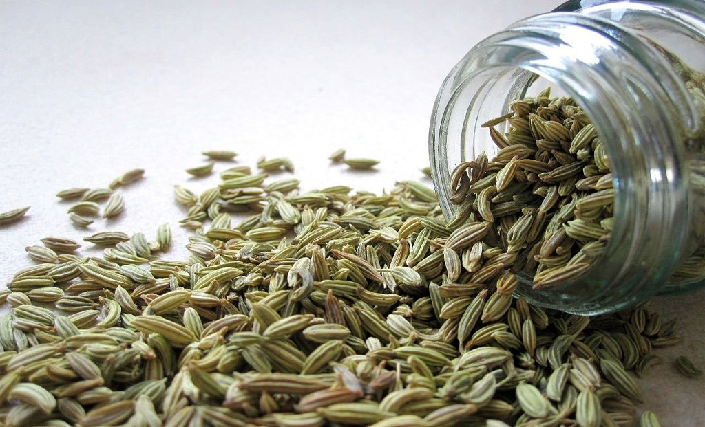Fennel tea is beneficial in enhancing metabolism.