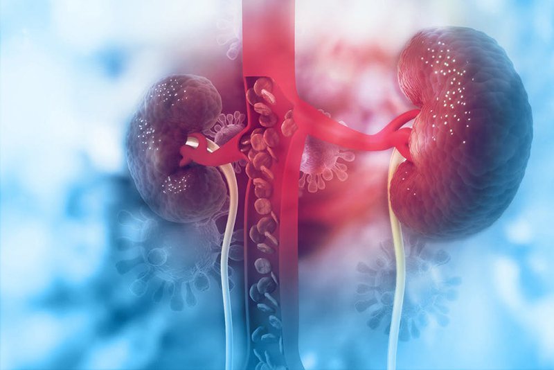 Here are the top five indications that your urine might yield: