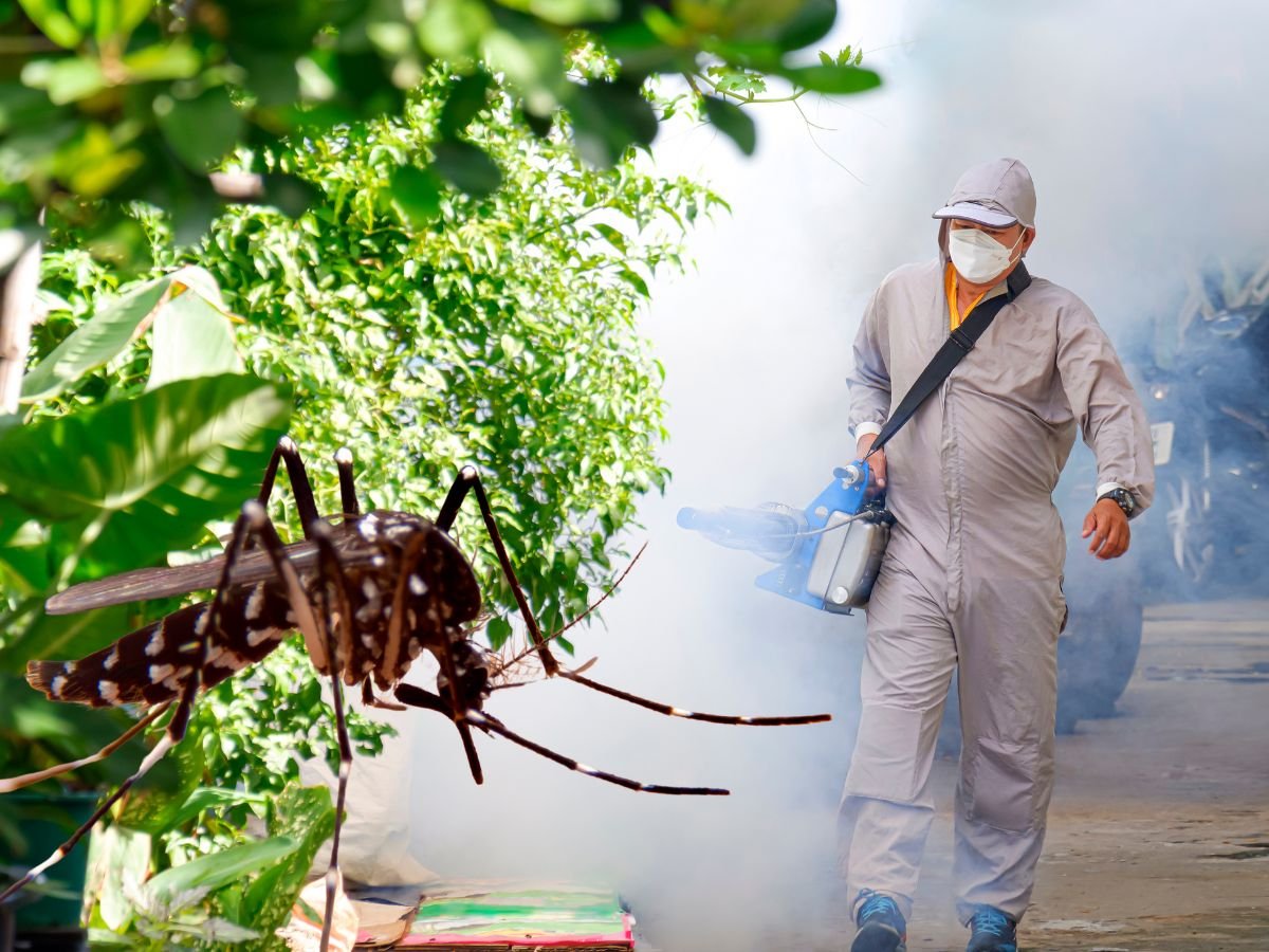 Dengue