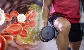 High Cholesterol Management With Exercise.