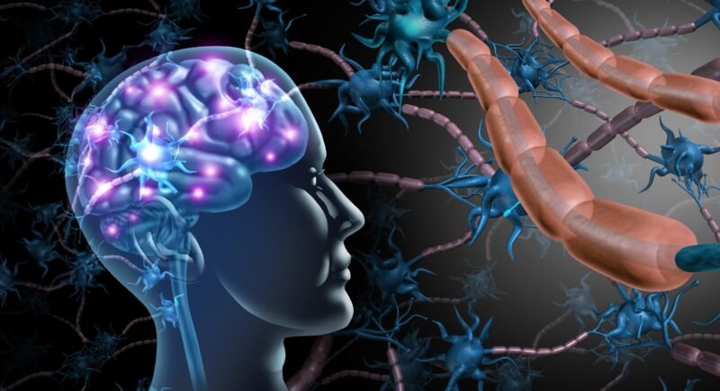 Brain Health
