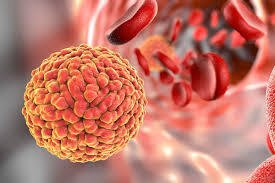 Zika virus is a complex and evolving health problem requiring constant vigilance and collaborative efforts to prevent and control its spread.