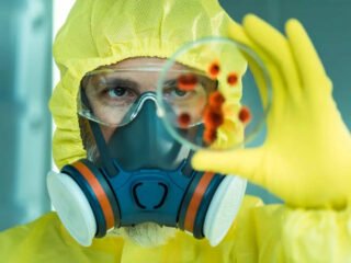 Fungus Aspergillus fumigatus