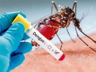 Rising Dengue Threat In India: How To Keep Yourself Safe?
