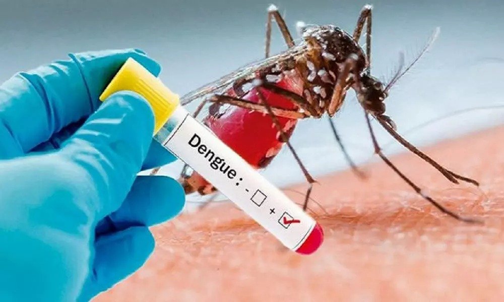 Dengue