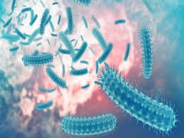 What's Is E. Coli Outbreak That's Being Linked To McDonald's Burgers