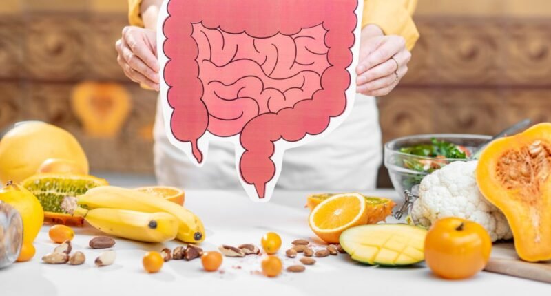healthy gut