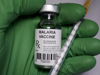 AdFalciVax: India Launches Its First Malaria Vaccine