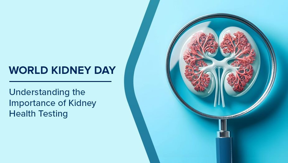 World Kidney Day 2026: How Heat, Pollution, and Dehydration Are Increasing Kidney Disease Risk